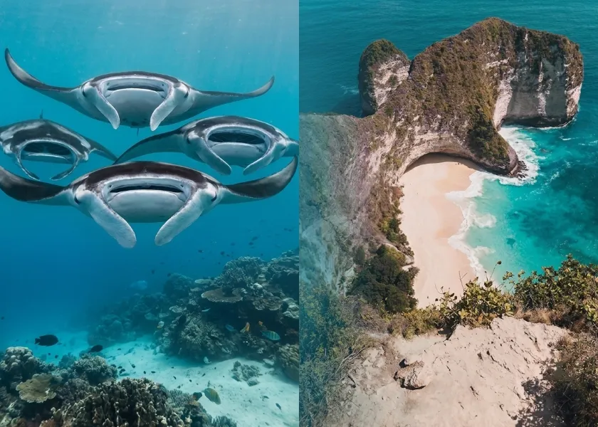 Paket Tour Nusa Penida